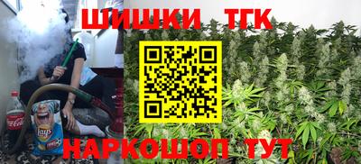 стаф Дубна