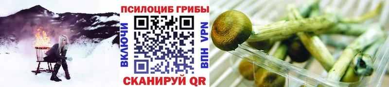 дарк нет формула Кимры Псилоцибиновые грибы Magic Shrooms где можно купить