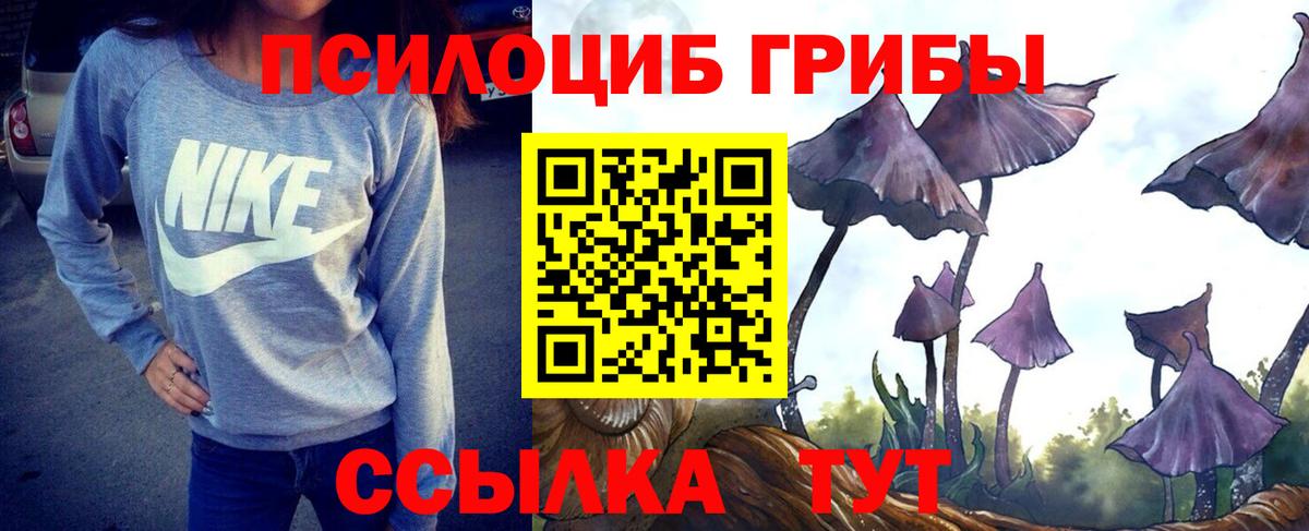 Псилоцибиновые грибы Magic Shrooms Кимры